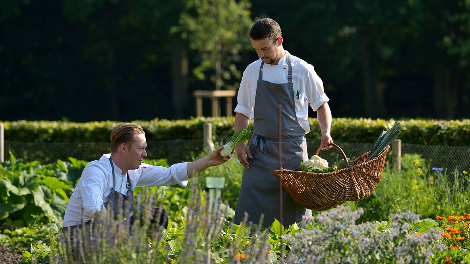 Chef in the vegetable garden of the Romantik Hotel Jagdhaus Eiden in Bad Zwischenahn