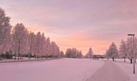 Event im Romantikhotel Jagdhaus Eiden: Winterblüte im Park - Sonderöffnung Park der Gärten